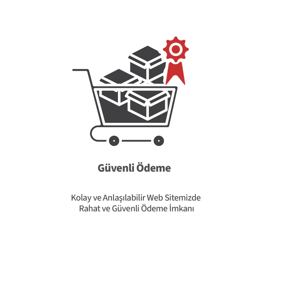 Güvenli Alışveriş